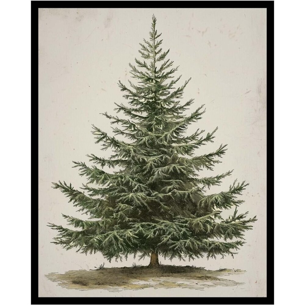 Generic Vintage Christmas Tree Print, Rustic Winter Tree Art, Botanical Holiday